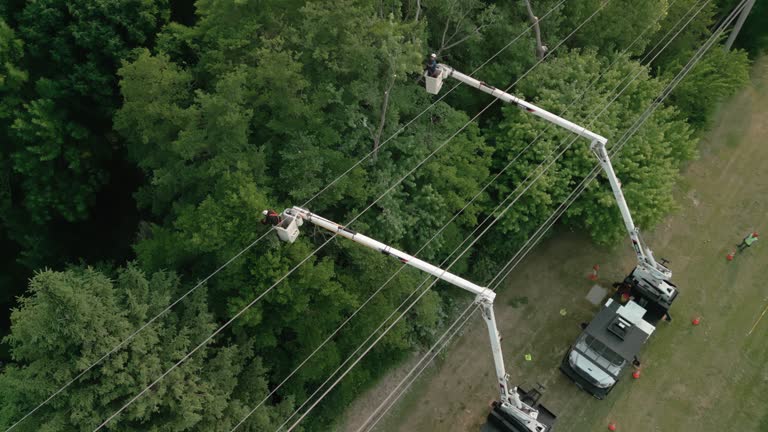 Best Utility Line Clearance  in San Castle, FL